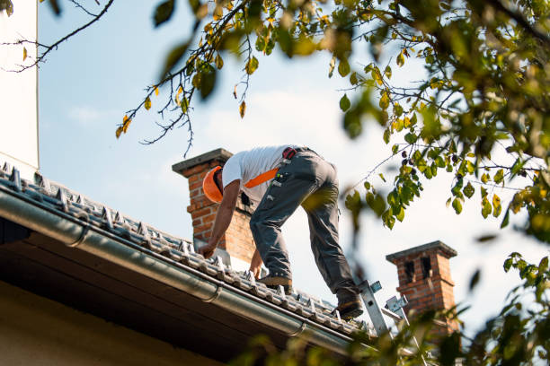 Quick and Trustworthy Emergency Roof Repair Services in Sumner, WA