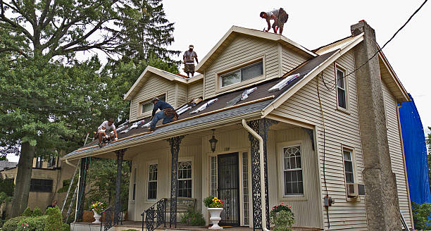 Best Roof Gutter Cleaning  in Sumner, WA